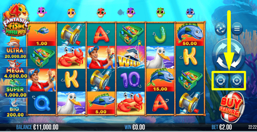 4 Fantastic Fish Puffer Pots Bet Value
