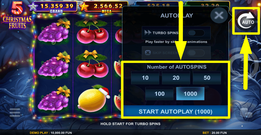 5 Christmas Fruits Autoplay Feature
