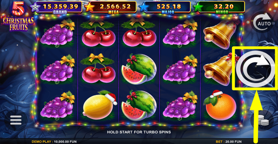5 Christmas Fruits Spin Button
