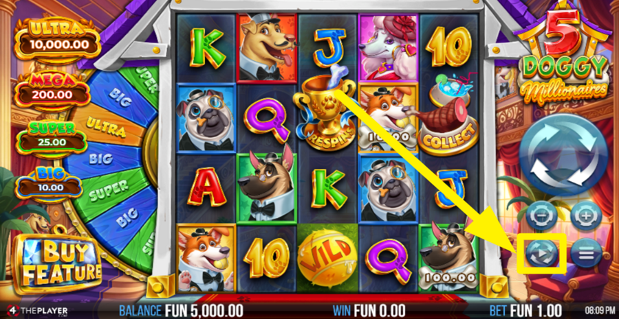 5 Doggy Millionaires Autoplay