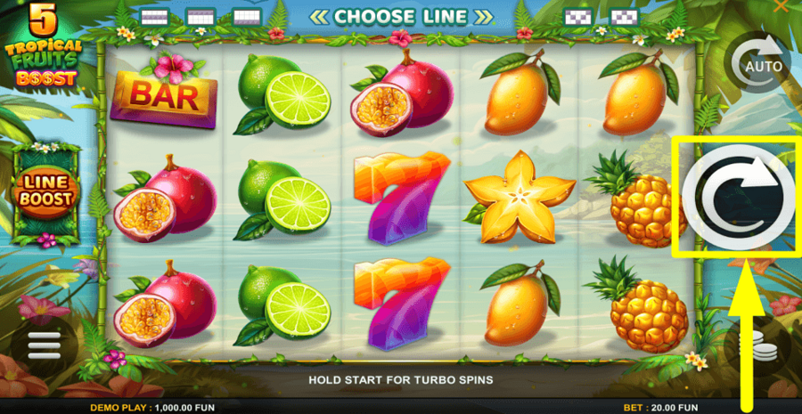 5 Tropical Fruits Boost Spin Button