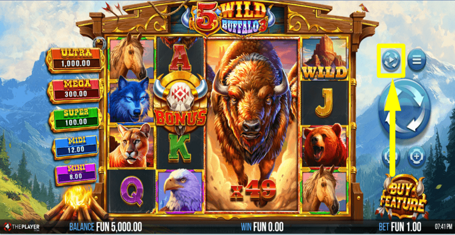5 Wild Buffalo 3 Autoplay Feature