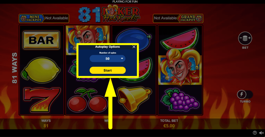 81 Joker Hot Reels Autoplay Feature