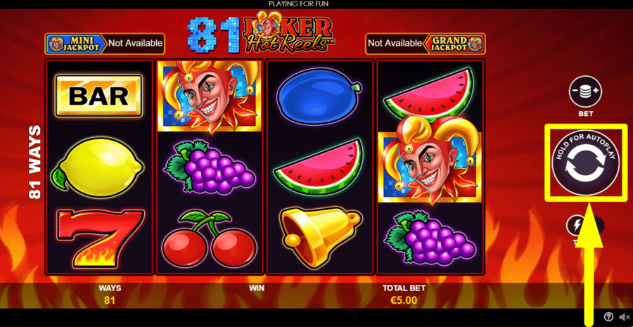 81 Joker Hot Reels Spin Button