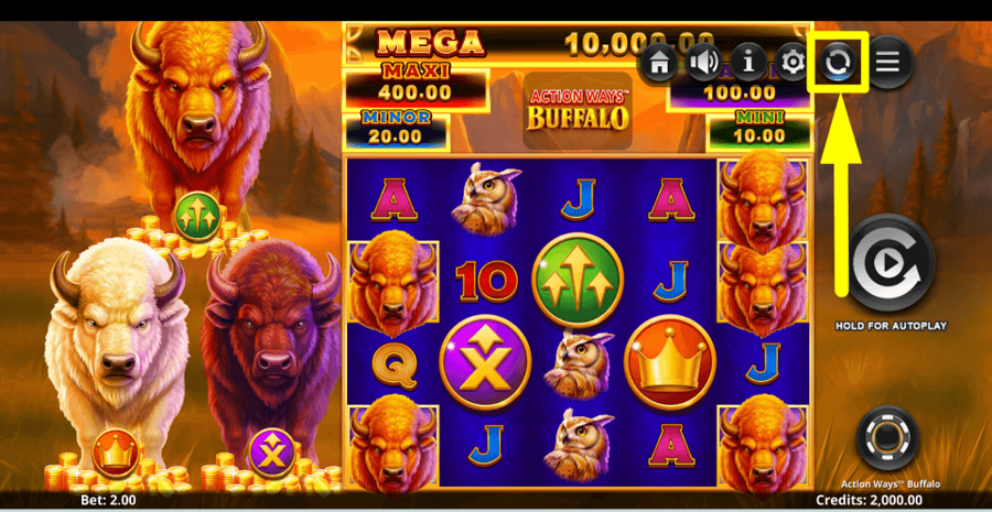 Action Ways Buffalo Autoplay Feature