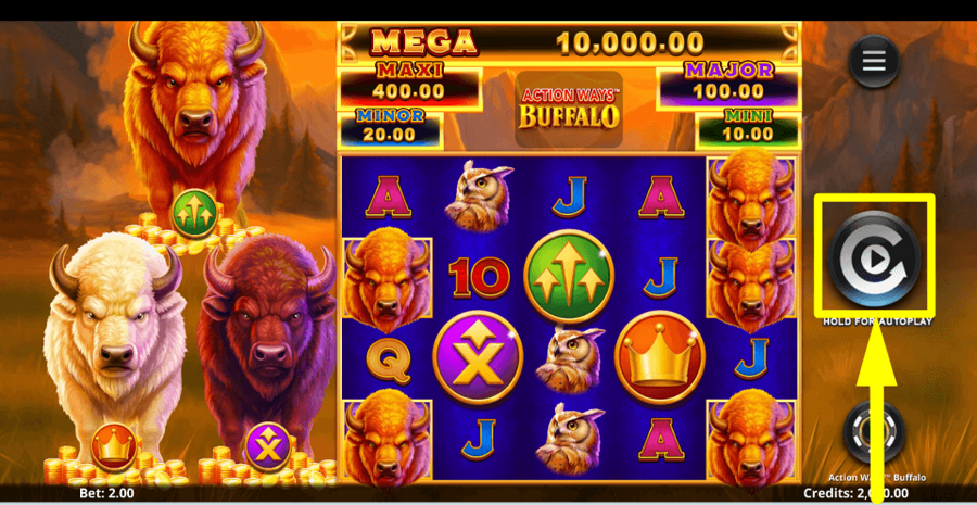 Action Ways Buffalo Spin Button