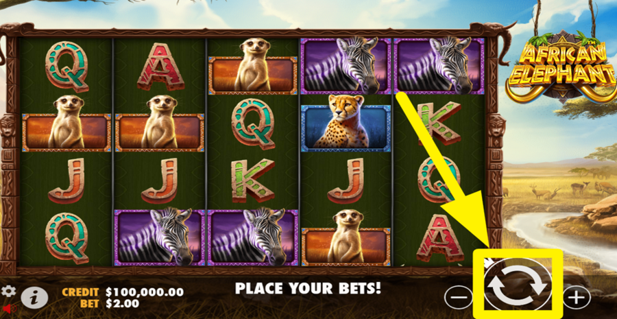 African Elephant Spin Button