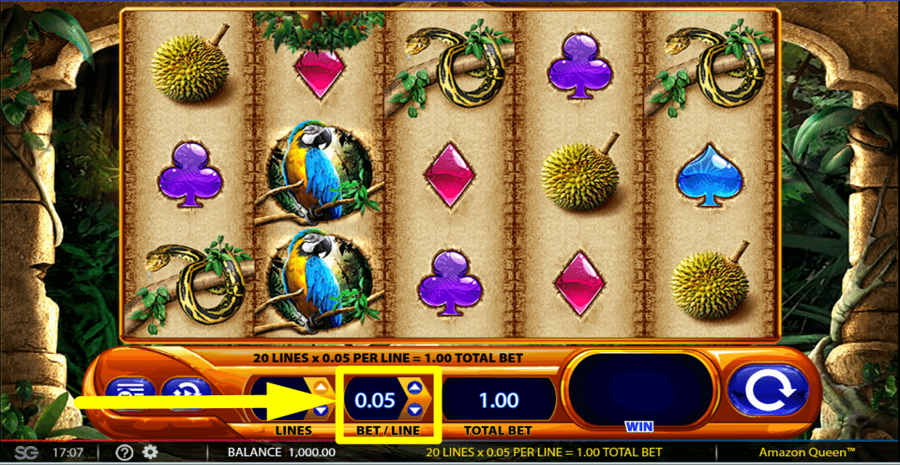 Amazon Queen Bet Value