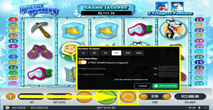 Arctic Wonders Autoplay Feature