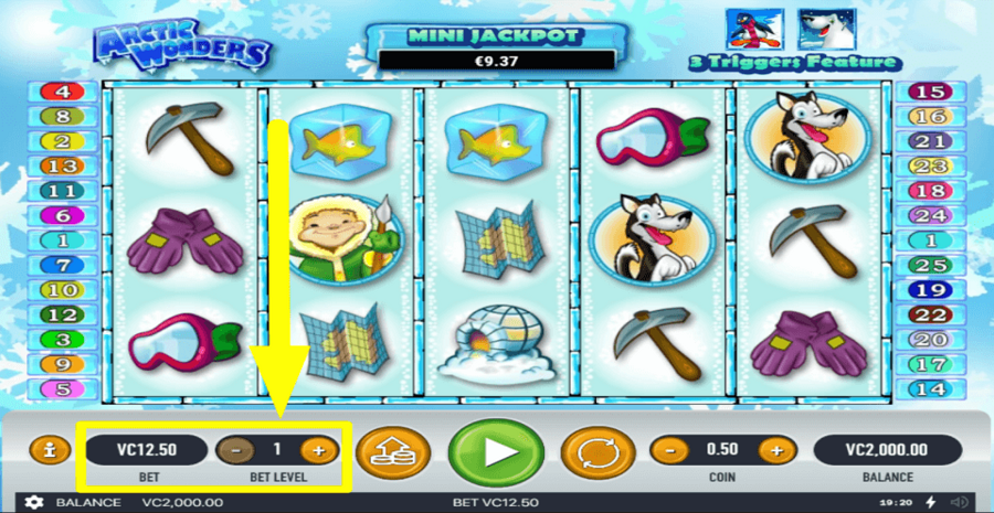 Arctic Wonders Bet Level