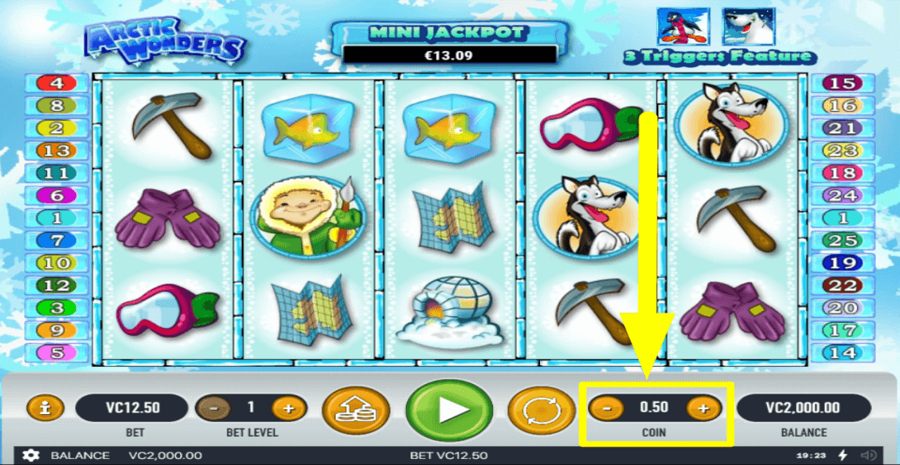 Arctic Wonders Coin Value