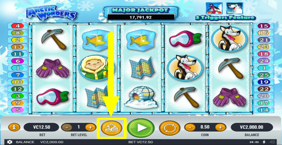 Arctic Wonders Max Bet