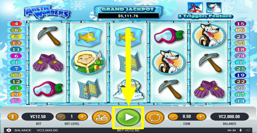 Arctic Wonders Play Button