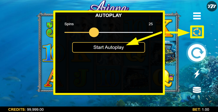 Ariana Autoplay Feature