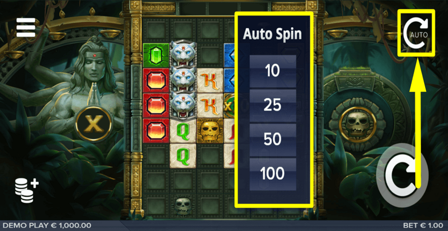 Ashoka Autoplay Feature