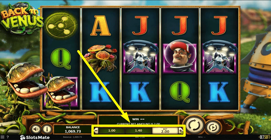 Back To Venus Choose Bet