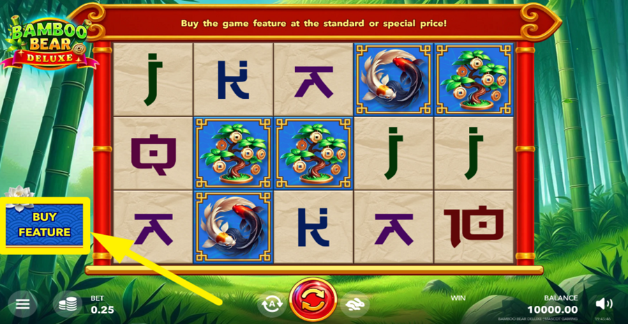 Bamboo Bear Deluxe Buy Bonus