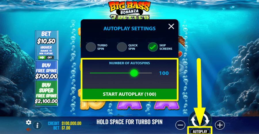 Big Bass Bonanza 3 Reeler Autoplay Feature