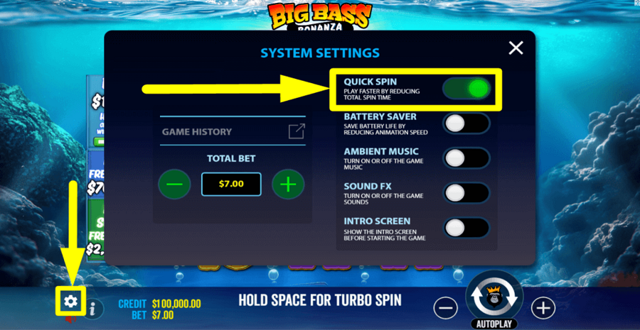 Big Bass Bonanza 3 Reeler Quick Spin Feature
