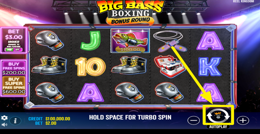Big Bass Boxing Bonus Round Spin