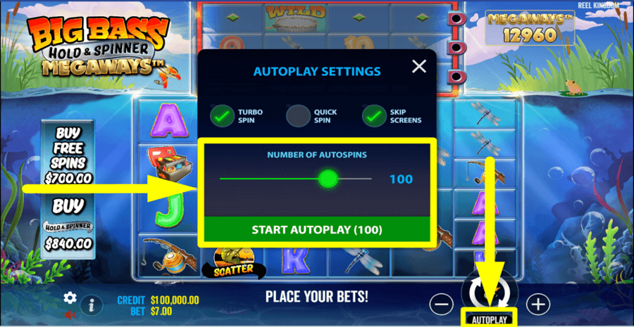 Big Bass Hold And Spinner Megaways Autoplay Feature