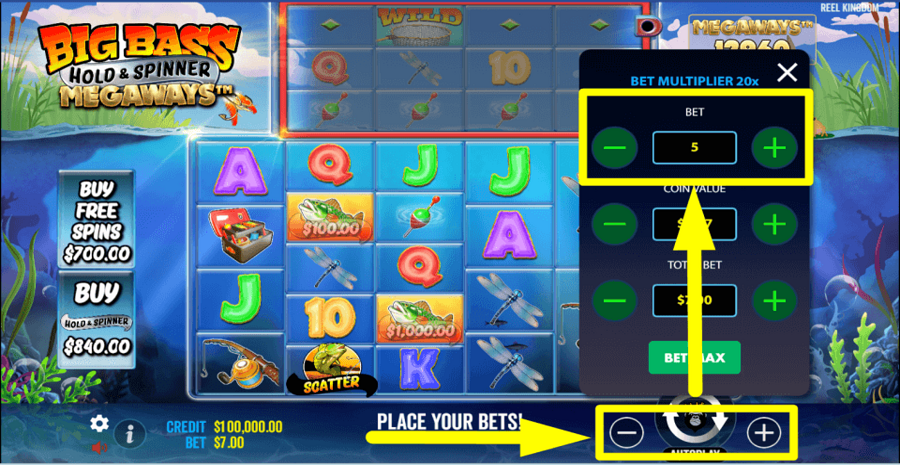 Big Bass Hold And Spinner Megaways Bet Value