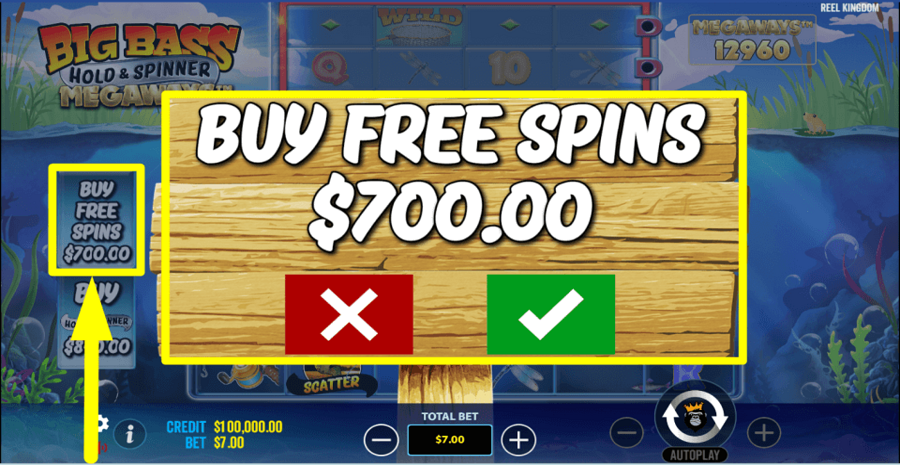 Big Bass Hold And Spinner Megaways Buy Feature