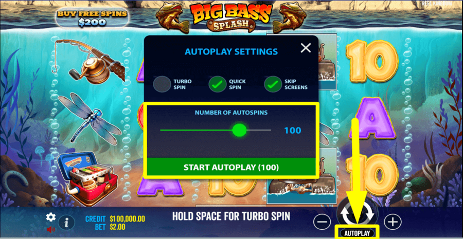 Big Bass Splash Autoplay Feature