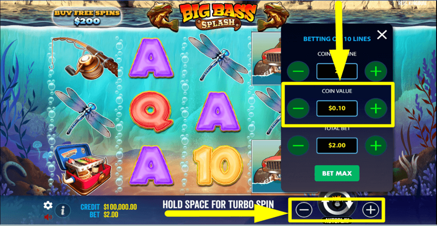 Big Bass Splash Coin Value