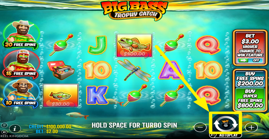 Big Bass Trophy Catch Spin