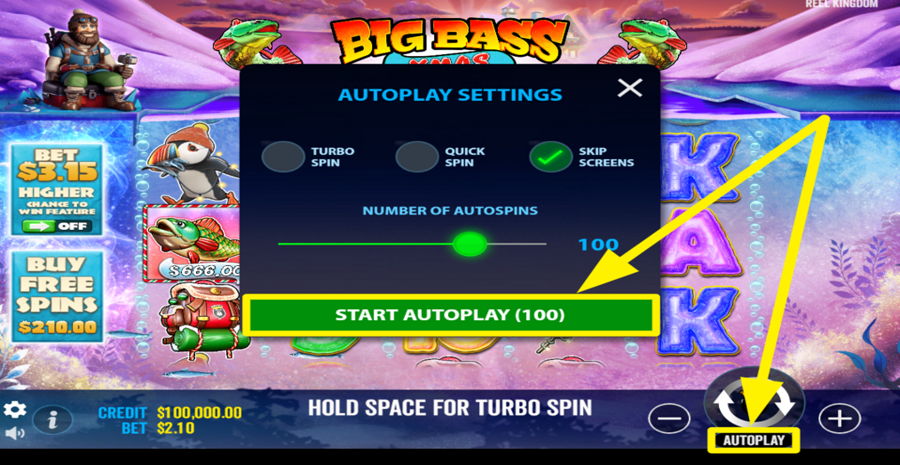 Big Bass Xmas Xtreme Autoplay