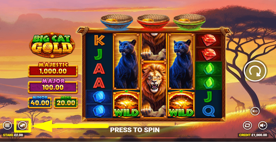 Big Cat Gold Bet Value