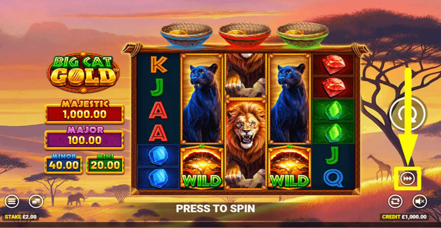 Big Cat Gold Turbo Feature