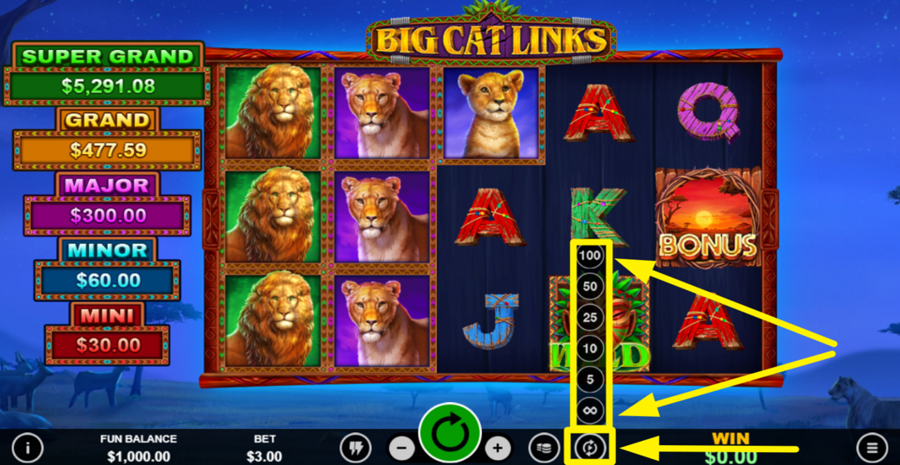 Big Cat Links Autoplay
