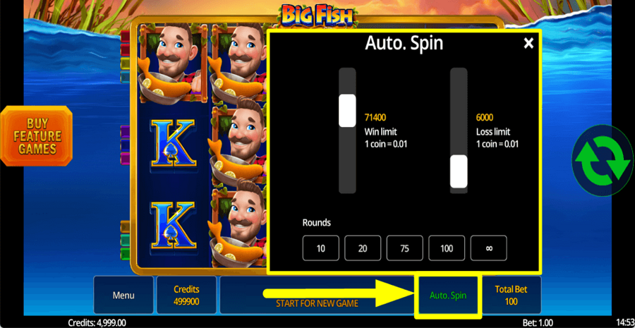 Big Fish Autoplay Feature