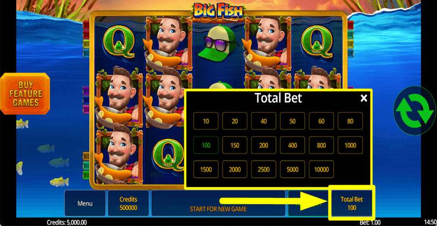 Big Fish Bet Value