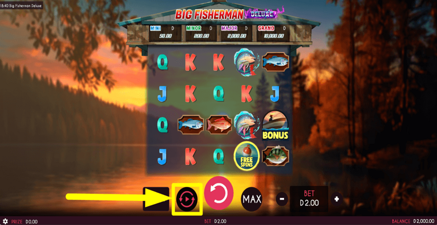 Big Fisherman Deluxe Autoplay Feature