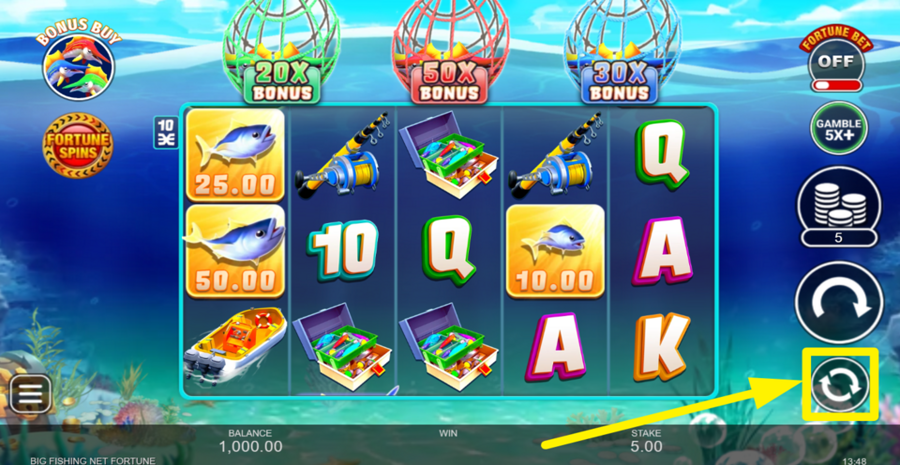 Big Fishing Net Fortune Autoplay