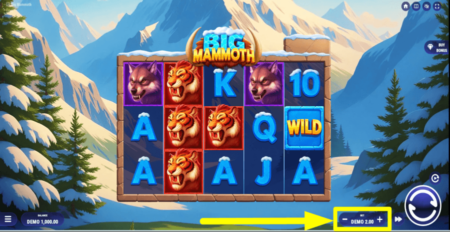Big Mammoth Bet Value