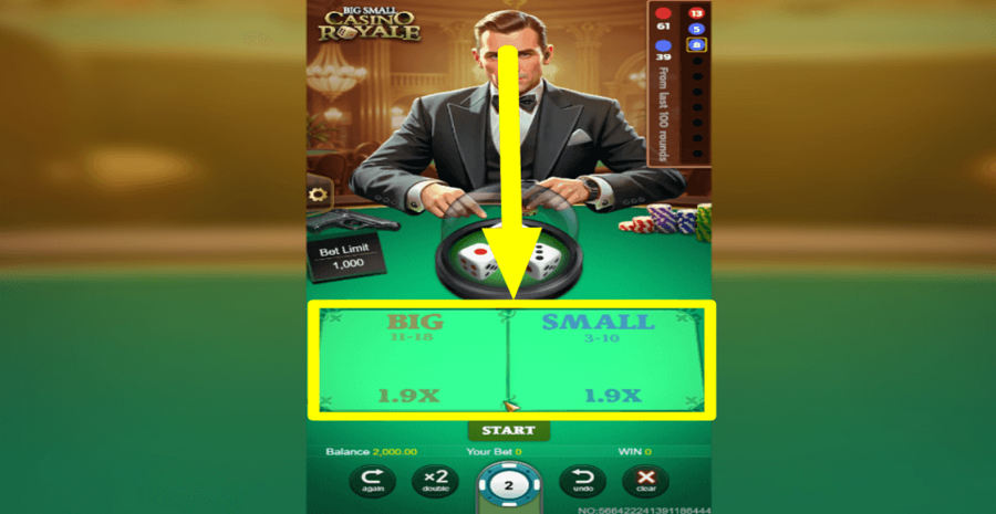 Big Small Casino Royale Betting Area