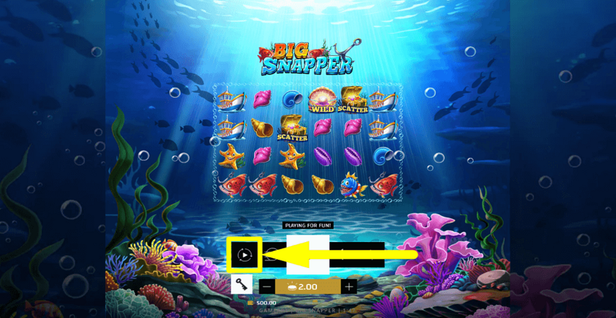 Big Snapper Autoplay Feature