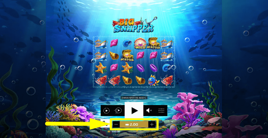 Big Snapper Bet Value