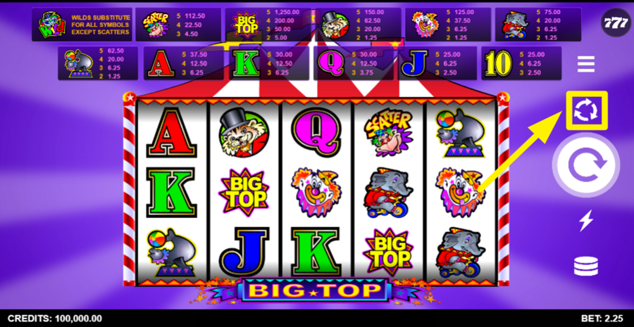 Big Top Autoplay Feature 2