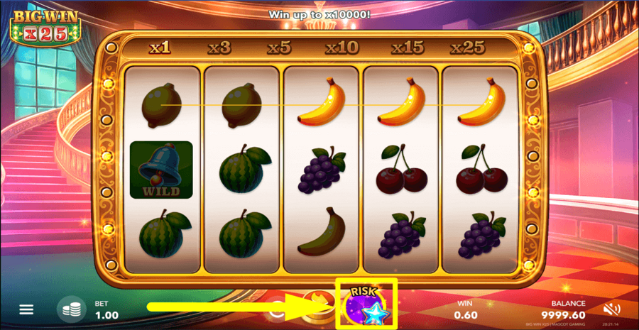Big Win x25 Risk Feature