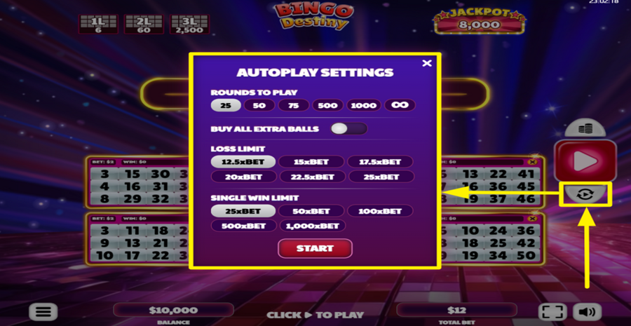 Bingo Destiny Autoplay