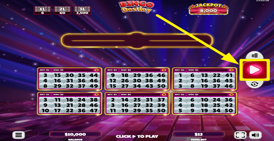 Bingo Destiny Play