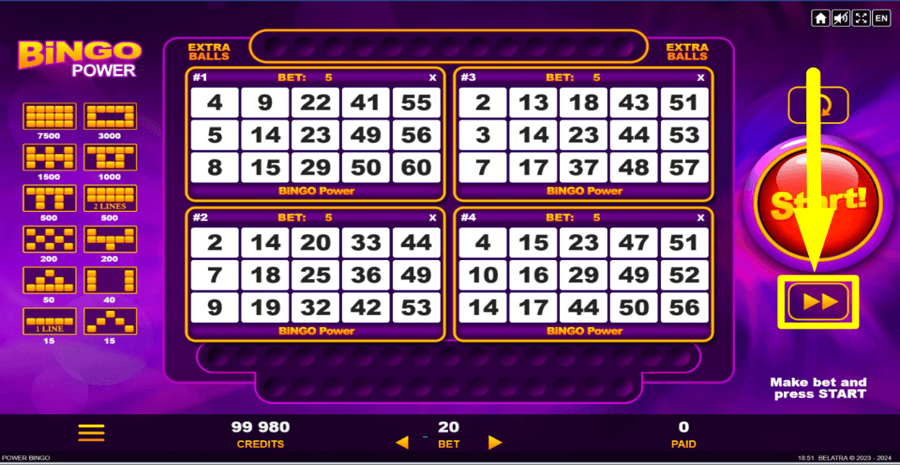 Bingo Power Fast Play Feature