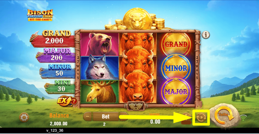 Bison Fortune Coins Autoplay Feature