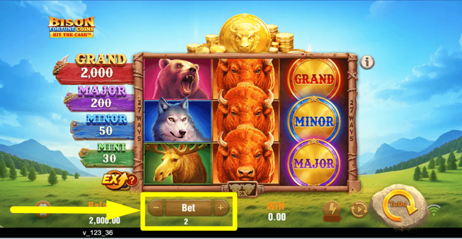 Bison Fortune Coins Bet Value