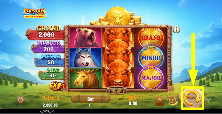 Bison Fortune Coins Spin Button